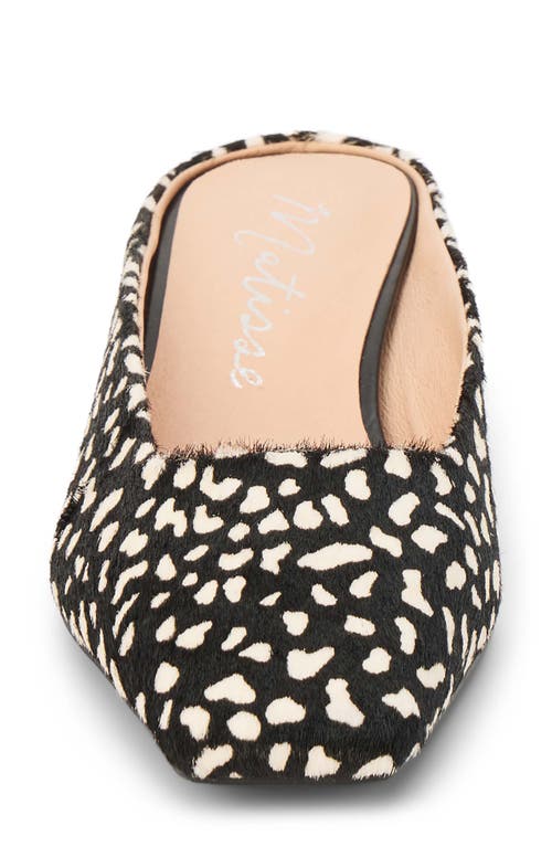 Matisse Classy Kitten Heel Mule In Black