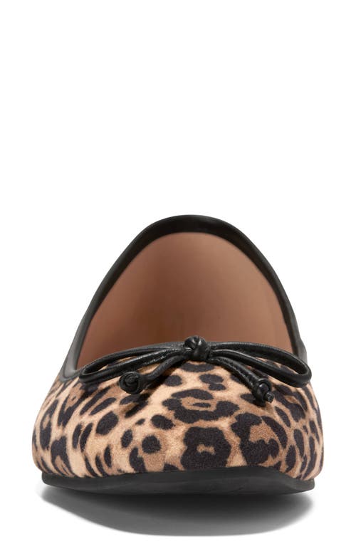 Cole Haan Yara Ballet Flat In Brown