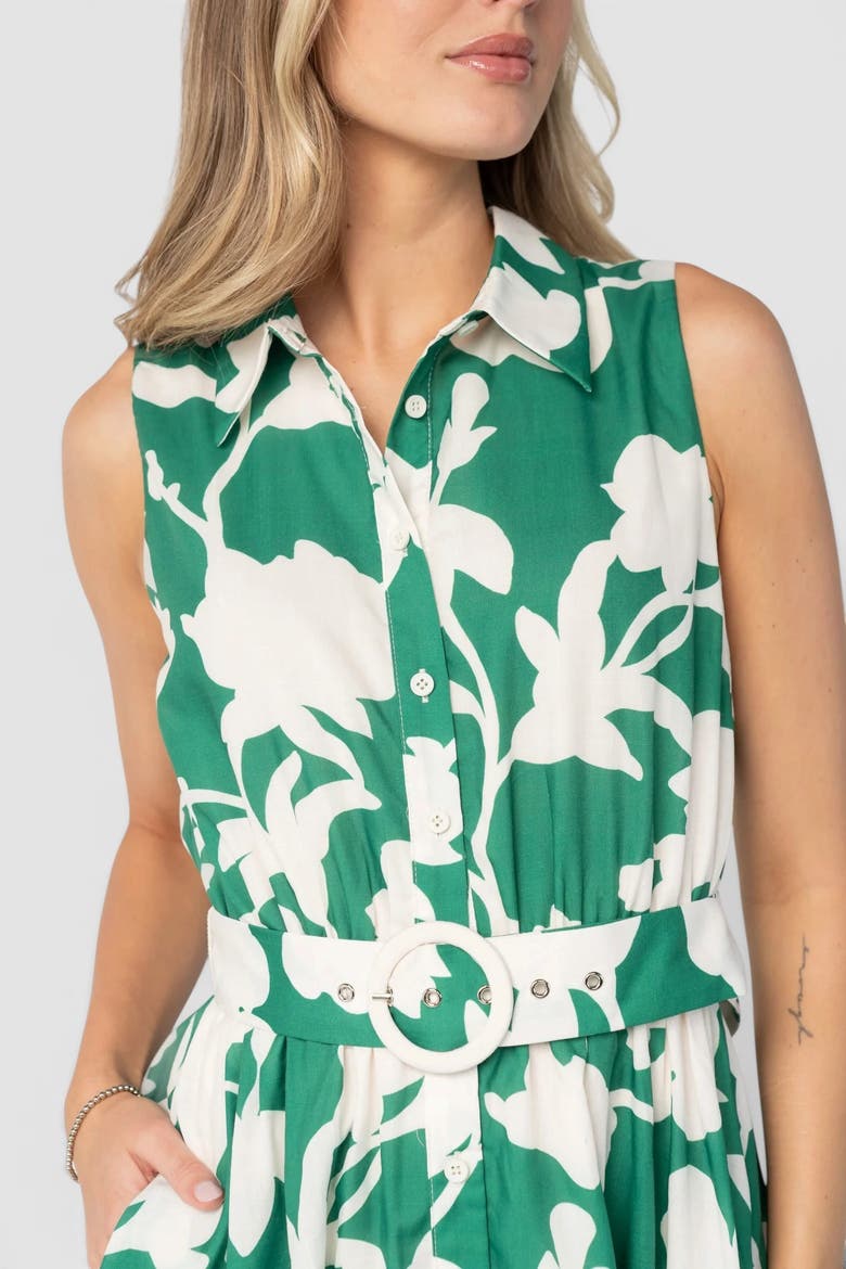 Tatum Button Down Dress, Alternate, color, Green + Off White