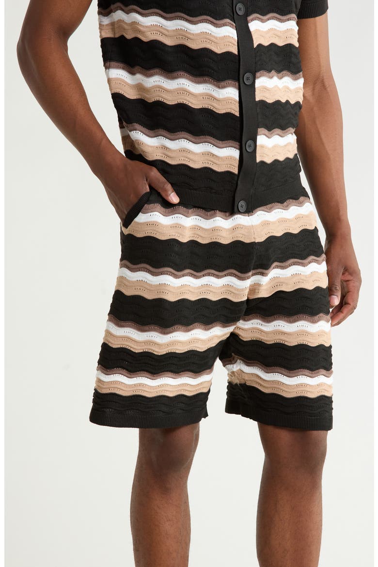 Textured Knit Striped Shorts, Main, color, BLACK