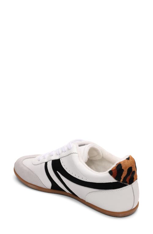 Sanctuary Lola Sneaker In Multi