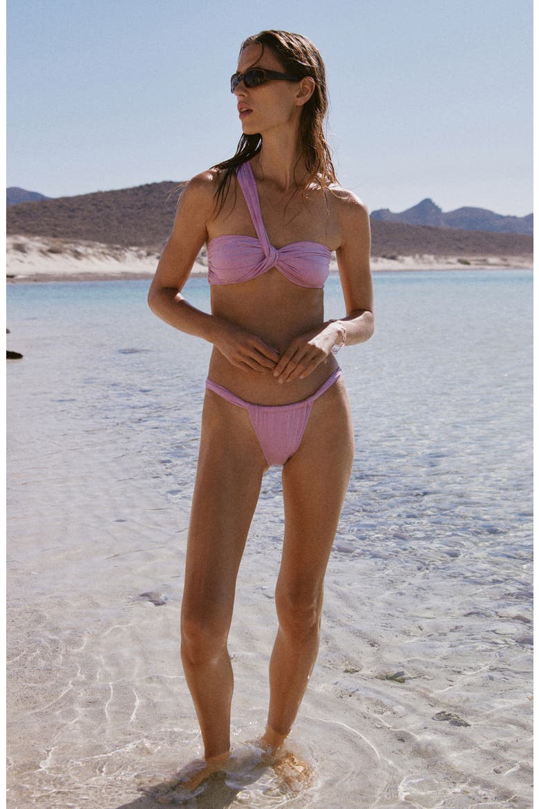 Classic Ruched Curtain Bikini Bottoms, Alternate, color, LIGHT/ PASTEL PURPLE