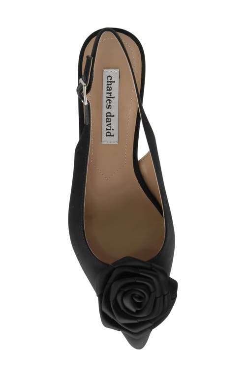 Charles David Aleph Slingback Pointed Toe Kitten Heel Pump In Black