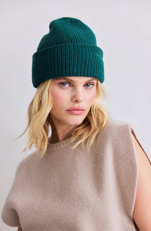 Arctic Fox & Co. Arctic Fox & Co The Embroidered Merino Wool Beanie In Green