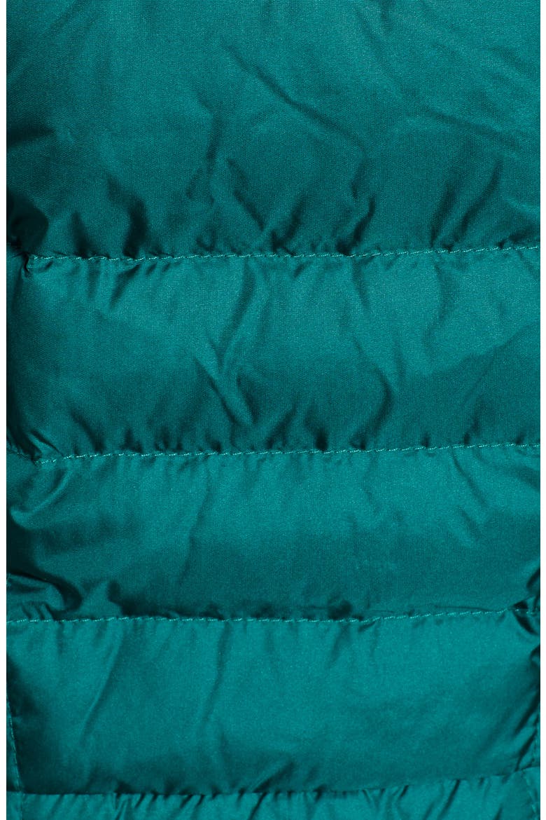 Metropolis III Water Repellent 550 Fill Power Down Hooded Parka, Alternate, color, BOTANICAL GARDEN GREEN
