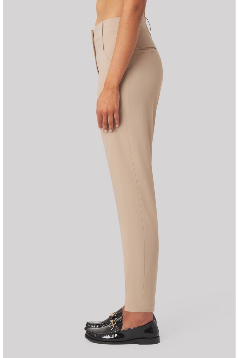 Kate Performance Ankle Pants, Alternate, color, SAND