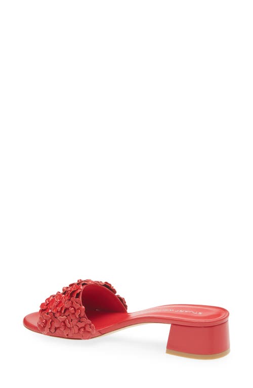 Stuart Weitzman Meadow Slide Sandal In Cherry