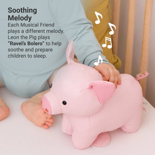 Little Big Friends Musical Animals In Pink