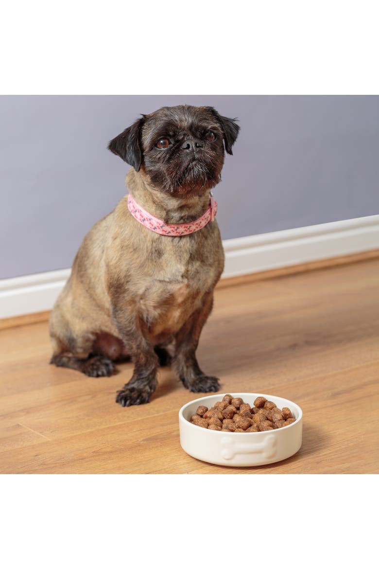 Embossed Bone 17oz Dog Food and Water Bowl, Alternate, color, Beige