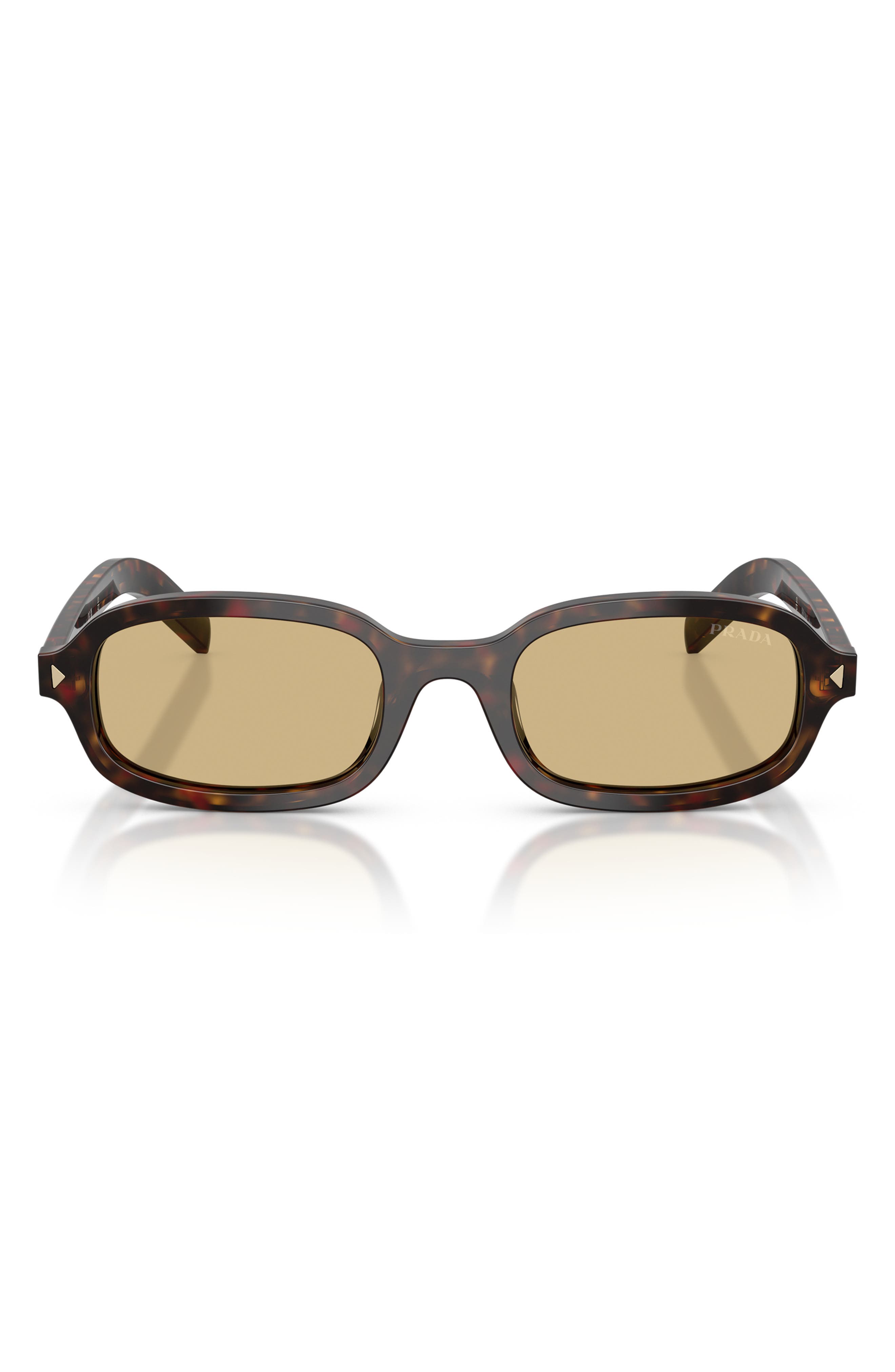ROOT TORTOISE / LIGHT BROWN