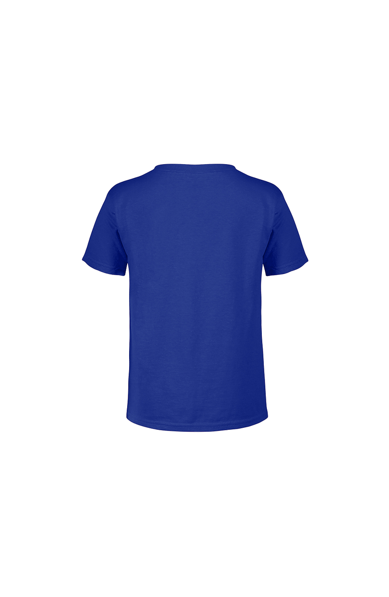 FORTNITE Boy's Fortnite Raven Logo Graphic T-Shirt, Alternate, color, Royal Blue