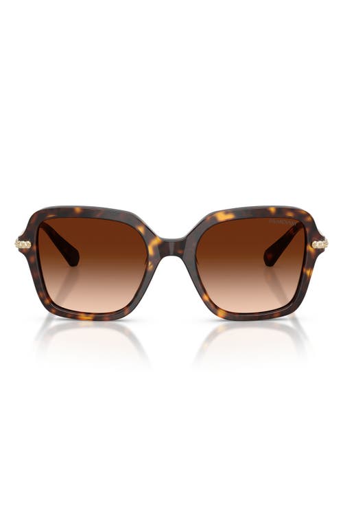 Swarovski Sk6040 Crystal-embellished Square Acetate Sunglasses In Brown