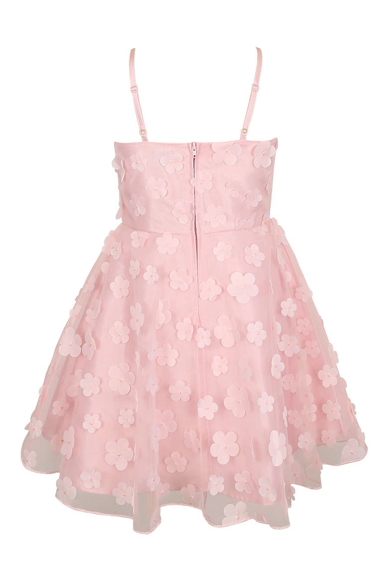 Kids' 3D Flower Mesh Dress, Alternate, color, BLUSH