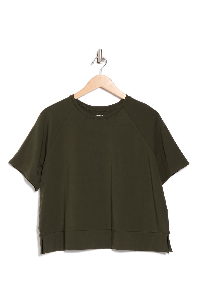 Eileen Fisher Raglan Sleeve Organic Cotton Blend T-Shirt, Alternate, color,