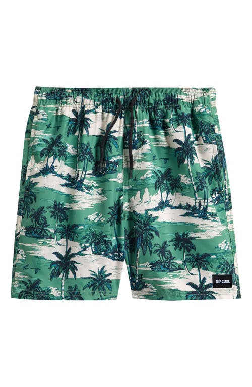 Rip Curl Kids' Dreamers Volley Shorts In Green