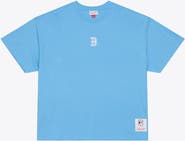 Mitchell & Ness Men's Mitchell & Ness Light Blue Boston Red Sox Insignia Premium T-Shirt