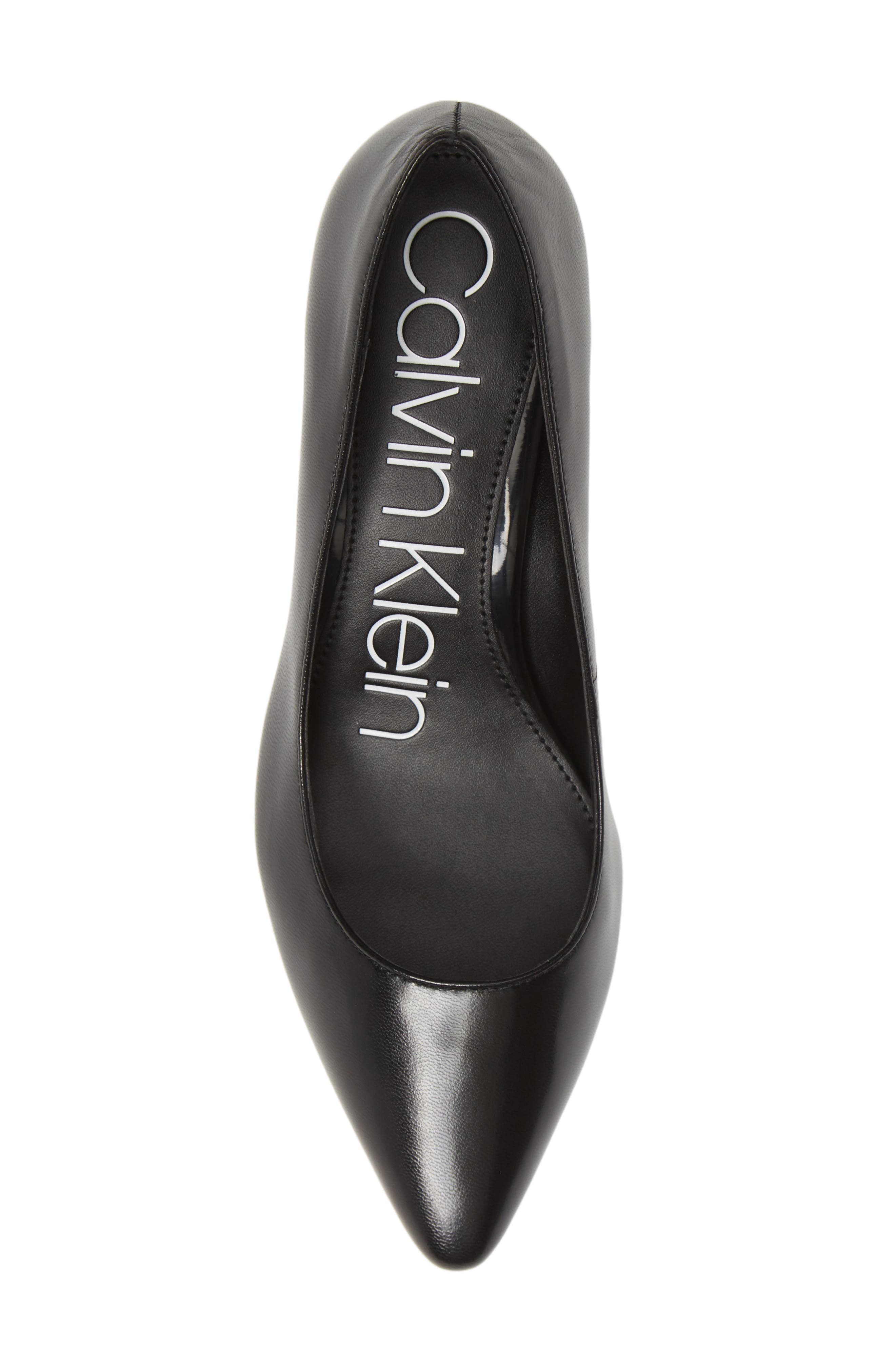 Calvin Klein Nita Pointed Toe Pump, Alternate, color, 