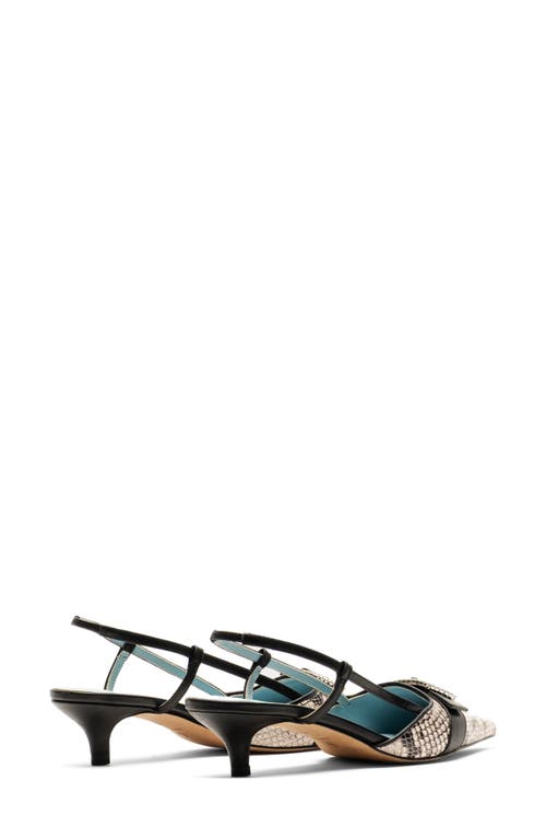 Frances Valentine Cutie Slingback Pointed Toe Kitten Heel Pump In Multi