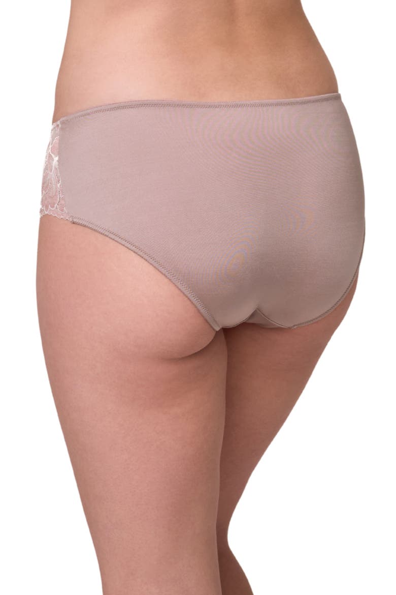 Floral Lace & Microfiber Hipster Briefs, Alternate, color, MOONSHELL/ CHANTILLY