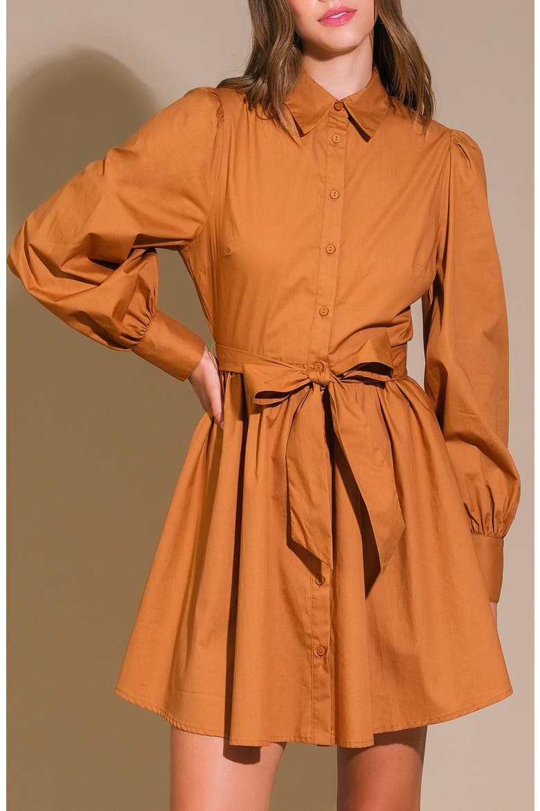 Solid Mini Shirtdress, Alternate, color, CARAMEL