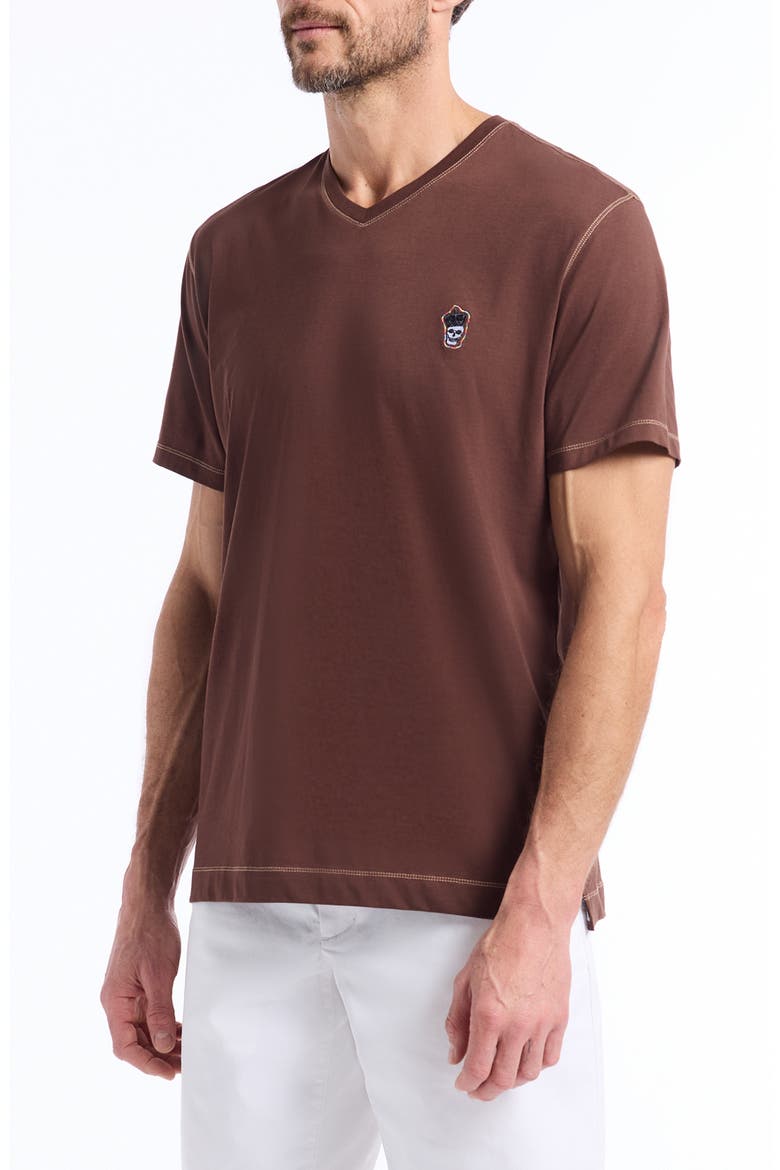 Damien V-Neck T-Shirt, Alternate, color, BROWN