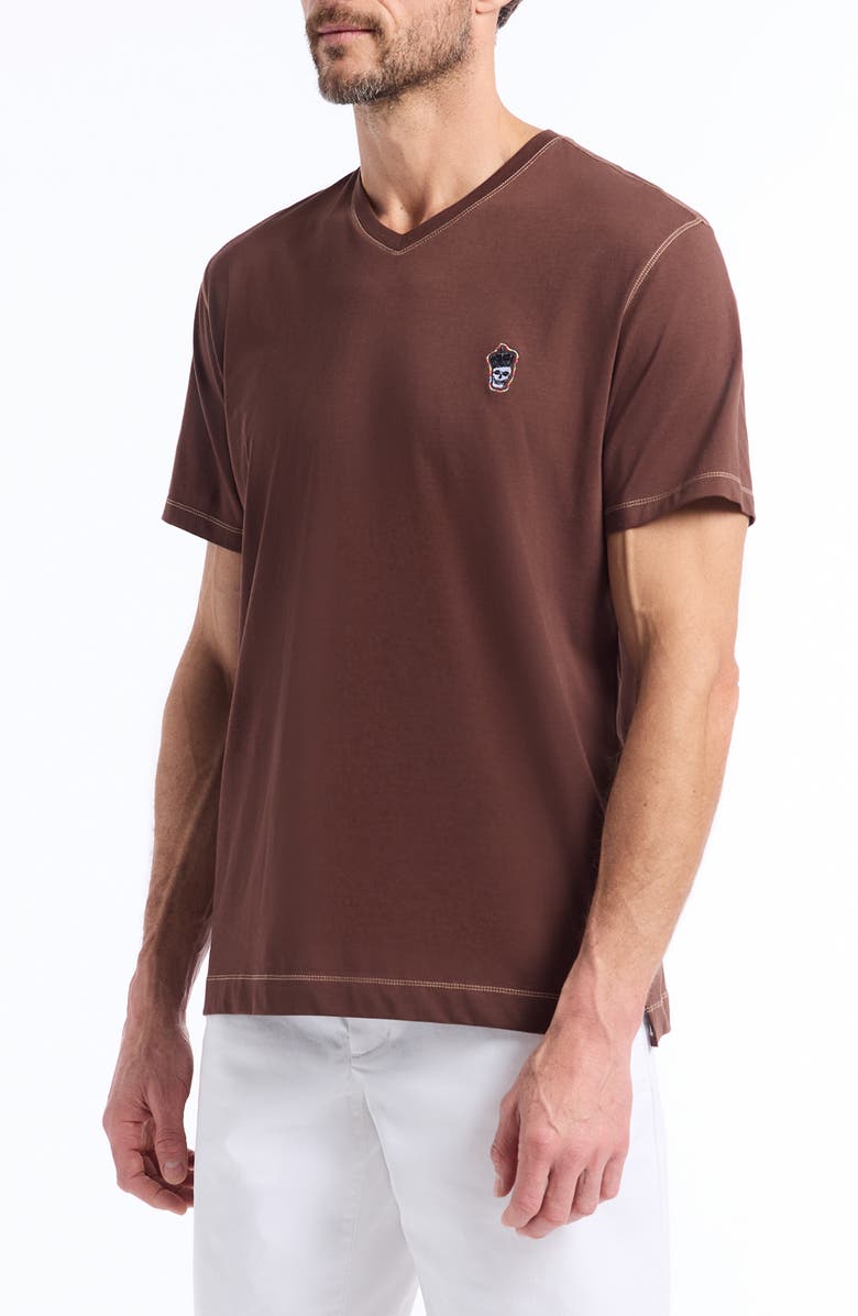 Robert Graham Damien V-Neck T-Shirt, Alternate, color, Brown