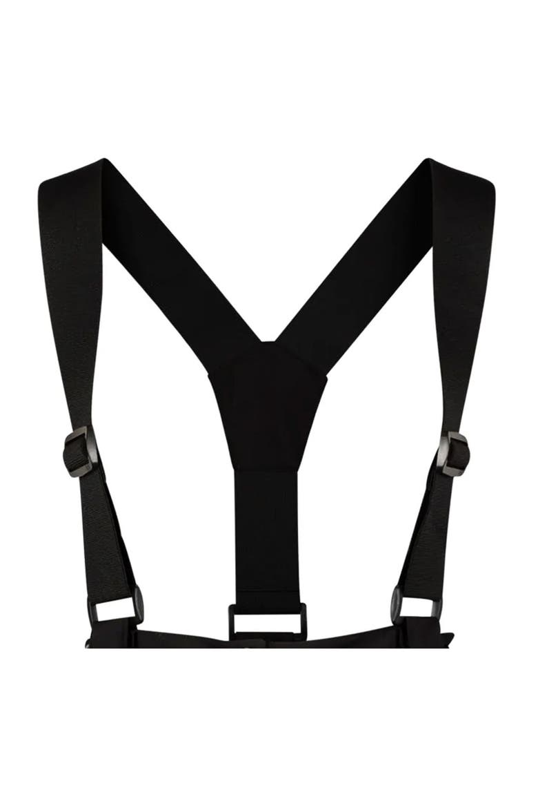 Jayne Ski Trousers, Alternate, color, Black