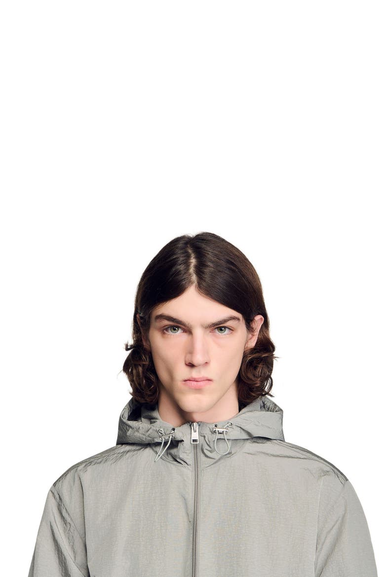Technical hooded zip-up jacket, Alternate, color, Aluminum