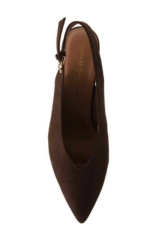 Chinese Laundry Menny Pointed Toe Slingback Pump In Brown