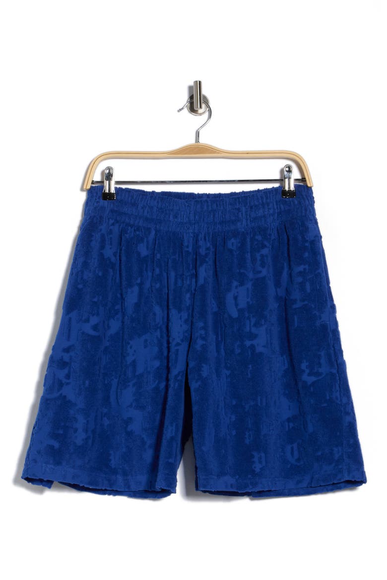 Terry Cloth Shorts, Alternate, color, BLUE