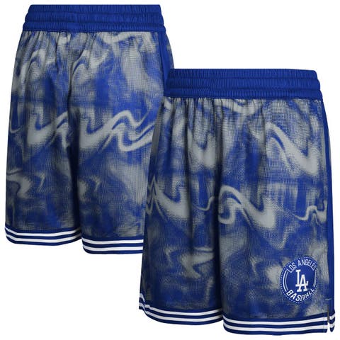 Youth Royal/Gray Los Angeles Dodgers Outfielder Shorts