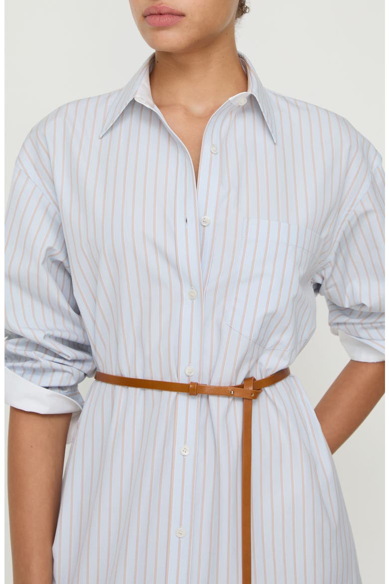 Aurora Stripe Long Sleeve Belted Oversize Cotton Poplin Midi Shirtdress, Alternate, color, GLACIER BLUE MULTI