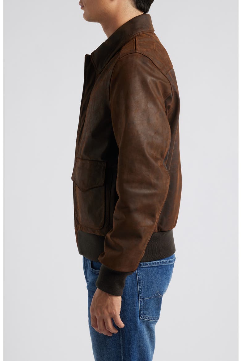 Lightweight Leather Flight Jacket, Alternate, color, BROWN