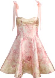 Alice + Olivia Summer Toile Jacquard Minidress