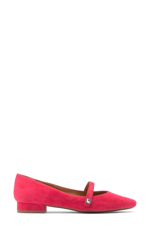 Aquatalia Priya Pointed Toe Pump In Raspberry
