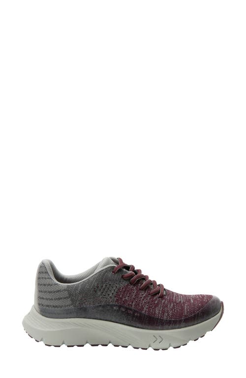 Alegria By Pg Lite Revl Knit Sneaker In Purple