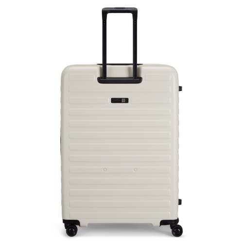 Lojel Cubo Large Check In Sand