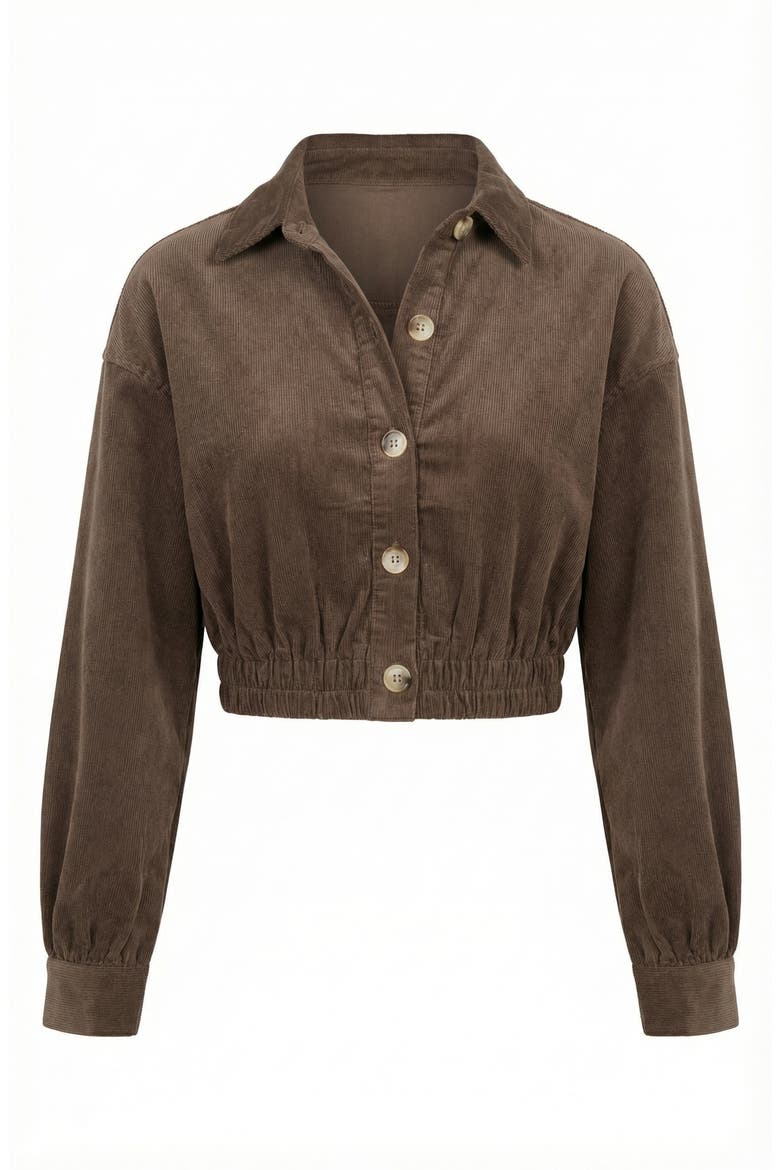 Cropped Collared Button-Up Stretch Hem Jacket, Alternate, color, Brown
