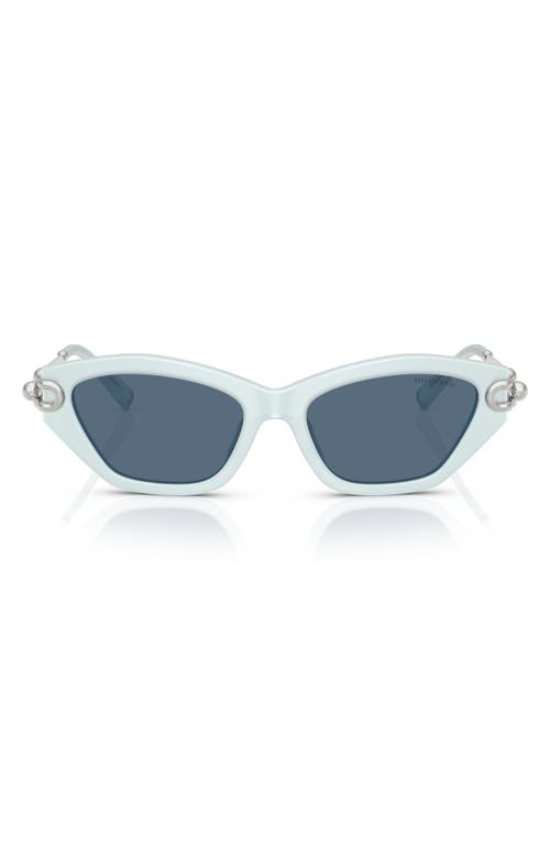 TIFFANY & CO TIFFANY & CO. 53MM CAT EYE SUNGLASSES