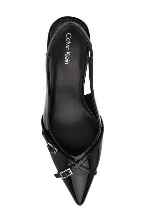 Calvin Klein Tulissa 2 Pointed Toe Slingback Pump In Multi