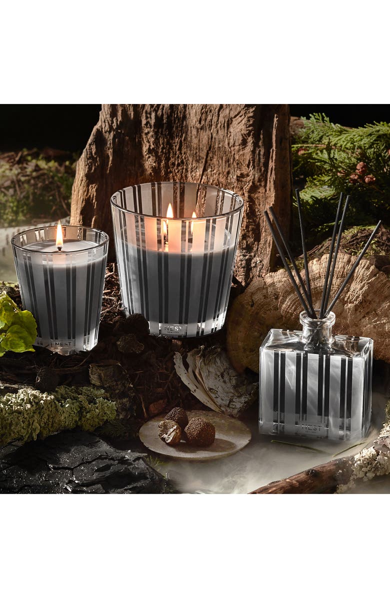 NEST New York Charcoal Woods Scented Candle, Alternate, color, 