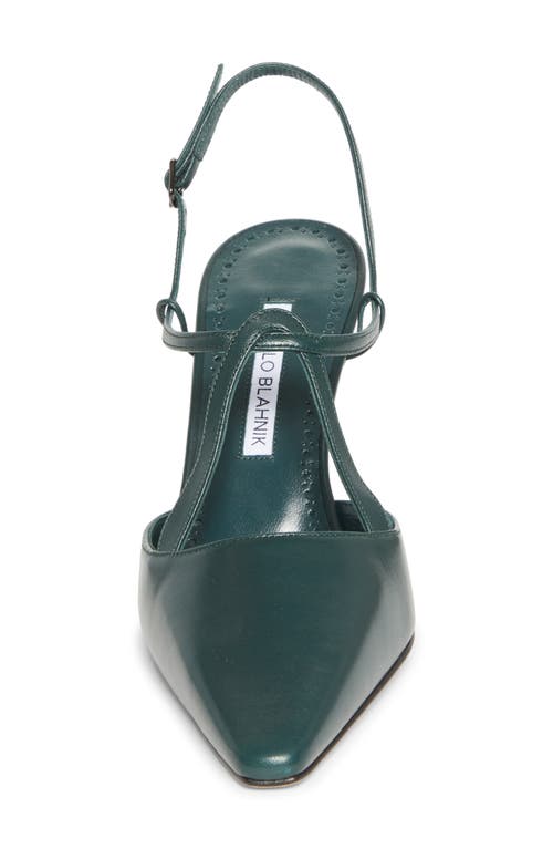 Manolo Blahnik Minia Pointy Toe T-bar Pump (women0 In Green
