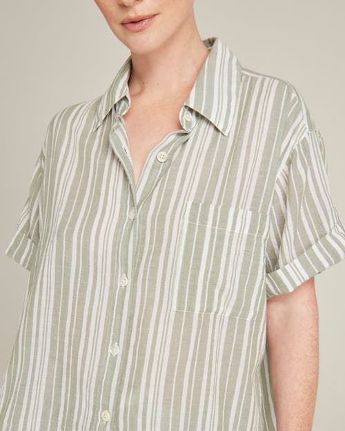 Nudea The Short Sleeve Shirt In Sage Stripe