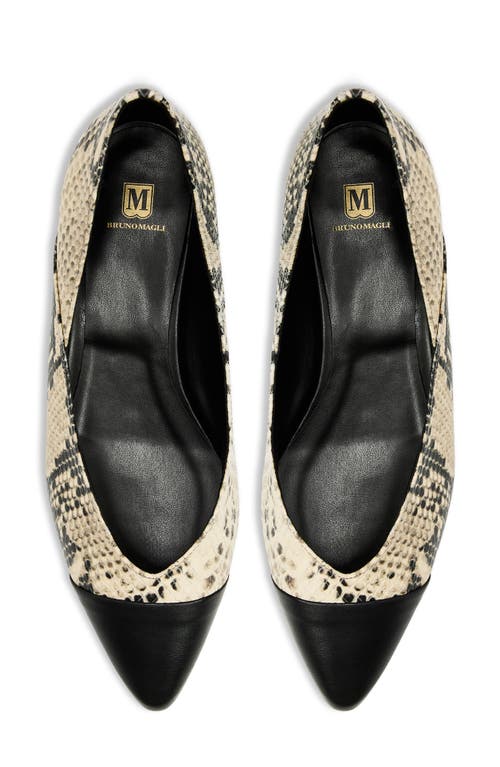 Bruno Magli Parma Pointed Toe Flat In Multi