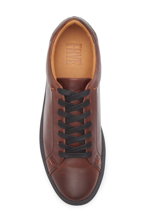 Frye Astor Sneaker In Mahogany