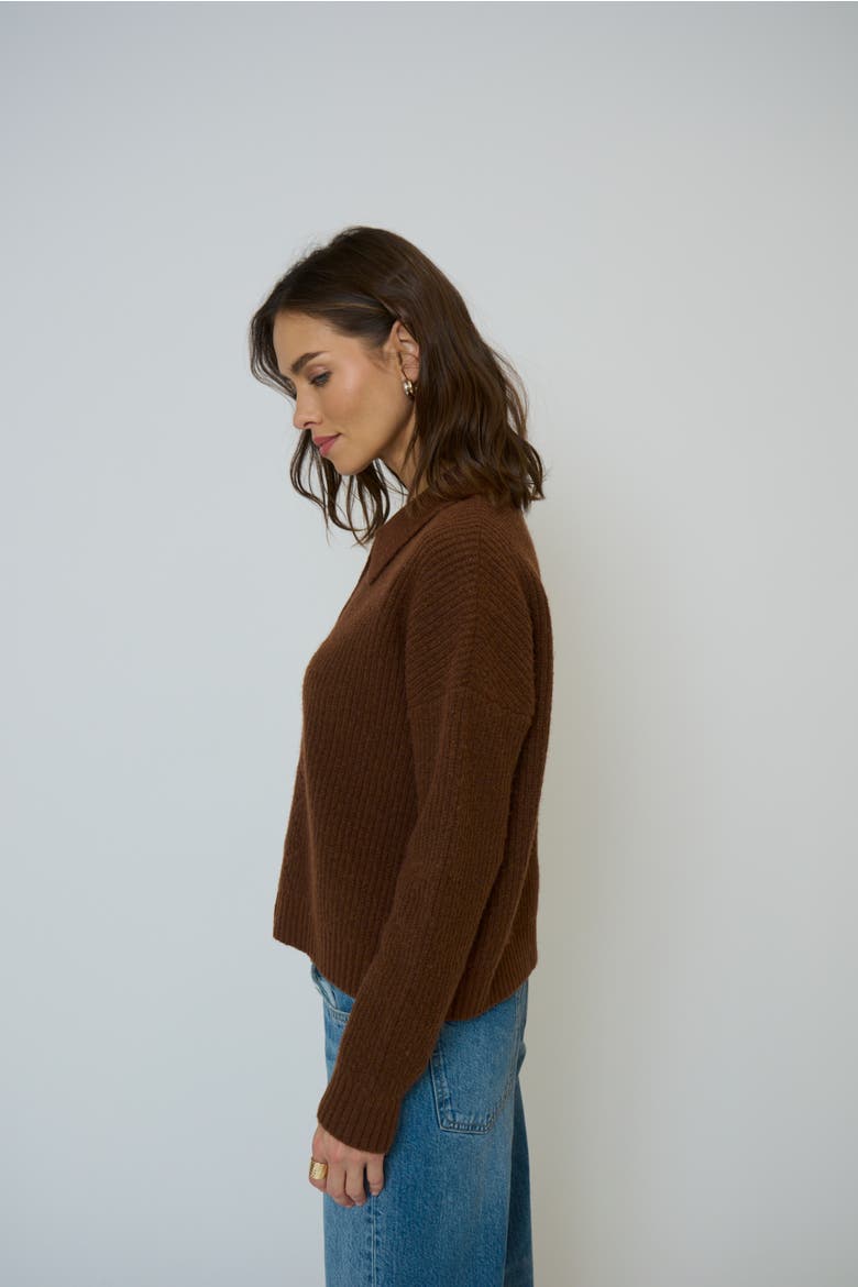 Olivia Pointelle Polo, Alternate, color, CHOCOLATE