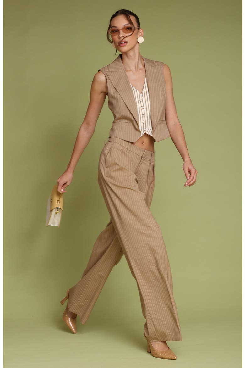 Pinstripe High Waist Wide Leg Pleat Front Pants, Alternate, color, CAMEL PINSTRIPE