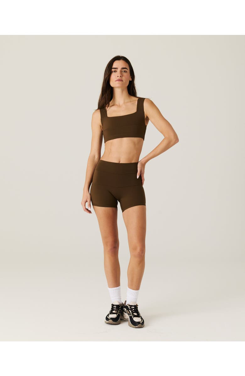 Daughter Lessons Cruise Shorts, Main, color, Brown