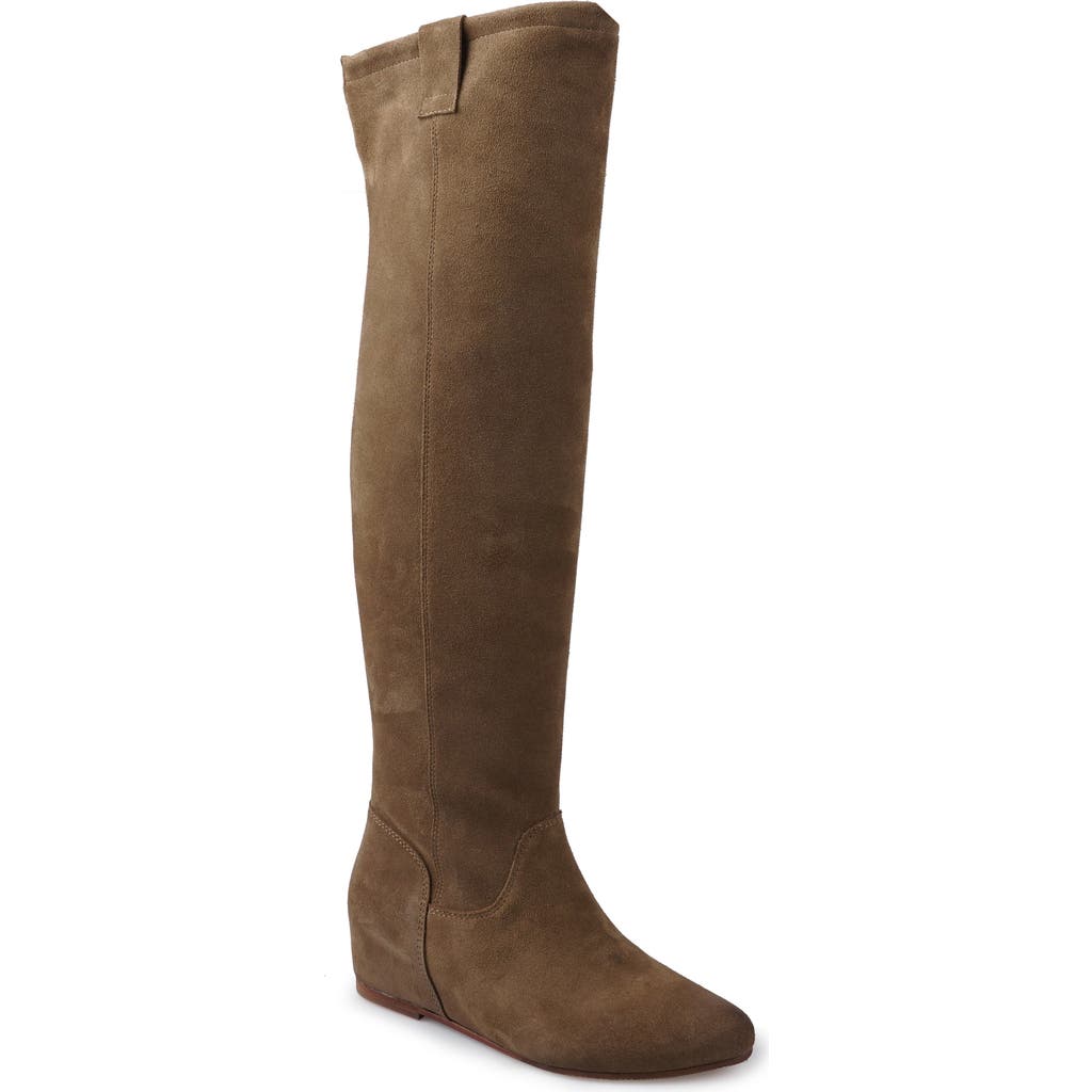 Zigi Beretta Knee High Boot In Brown
