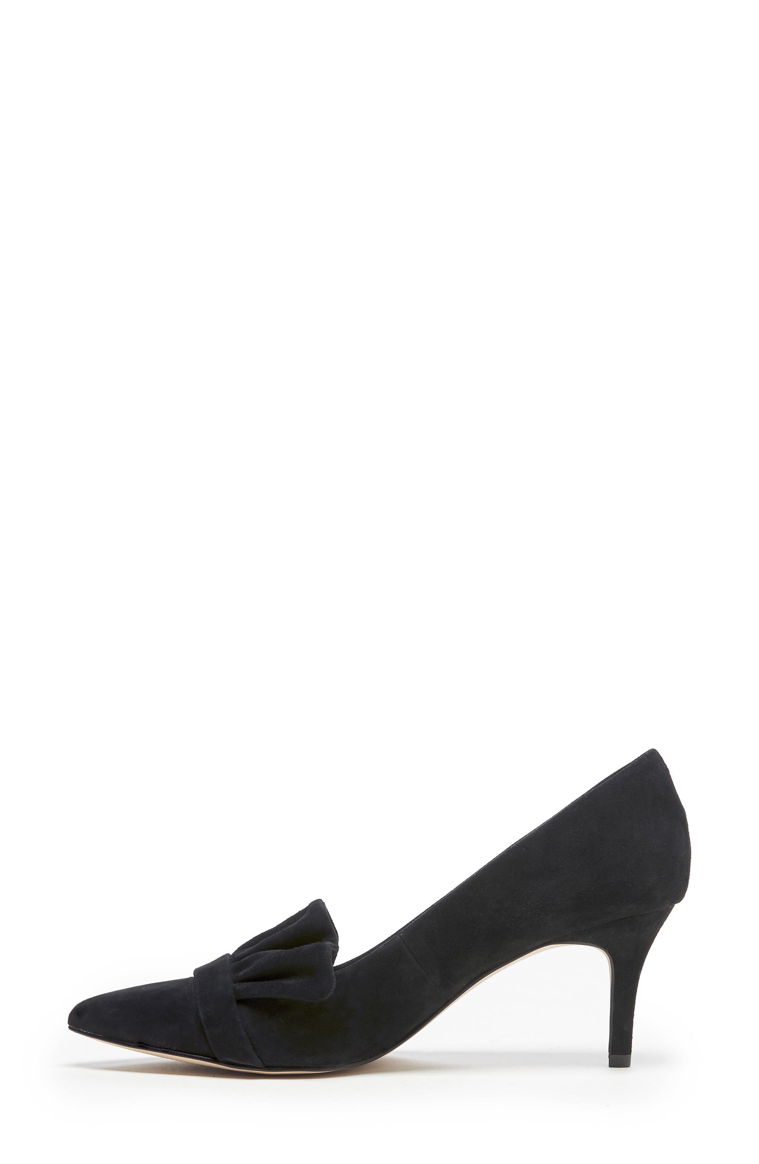 Sole Society Darbia Ruffle Pointy Toe Pump, Alternate, color, 